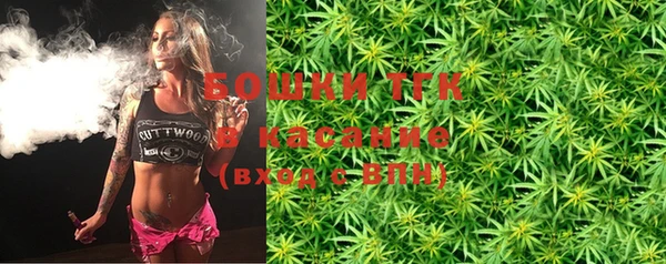 PSILOCYBIN Аркадак