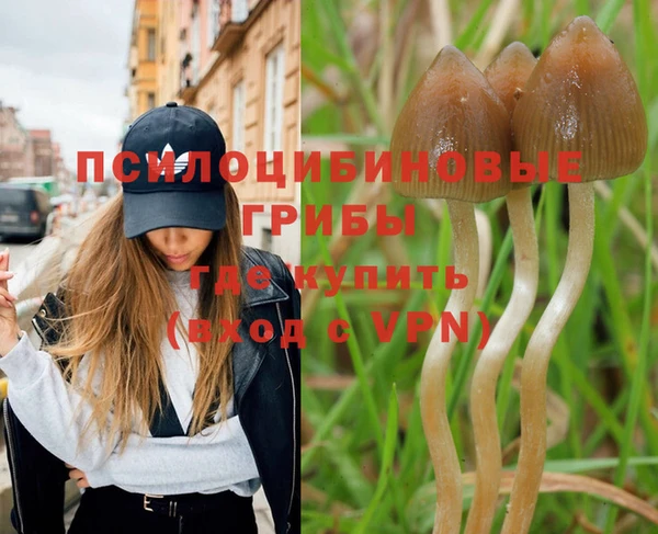 винт Армянск