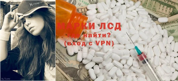 PSILOCYBIN Аркадак