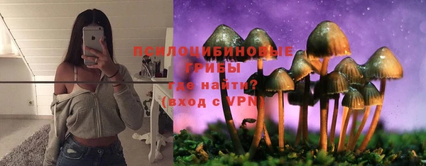 PSILOCYBIN Аркадак