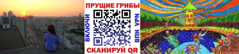Купить закладки  Нововоронеж  Псилоцибиновые грибы Psilocybine cubensis 